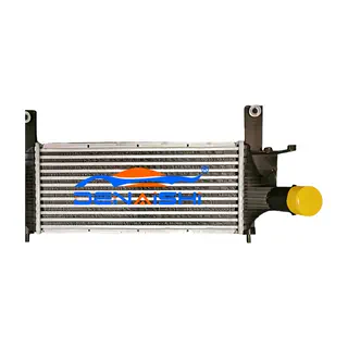 intercooler សម្រាប់ Pathfinder r51 05